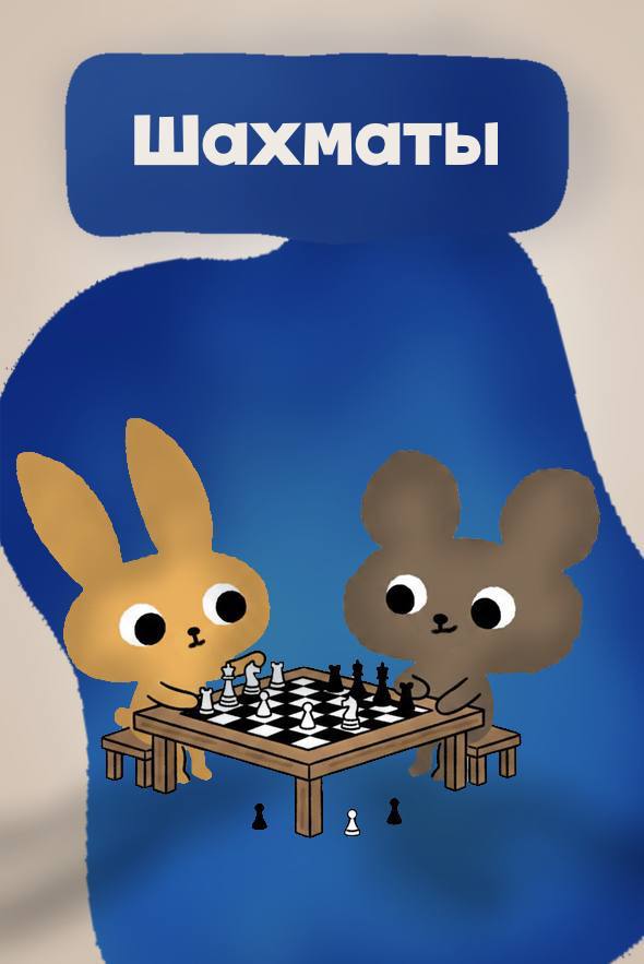 Шахматы
